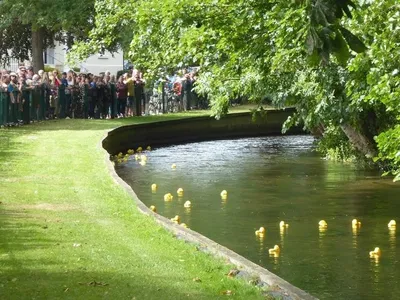 duck racing