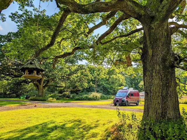 Three Trees Campsite, Ampfield