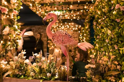pink flamingo