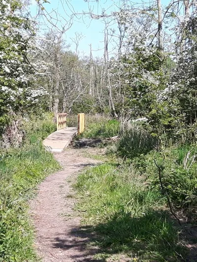 Footpath and bridge across the meadow