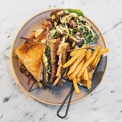 Toasted sandwich with fries